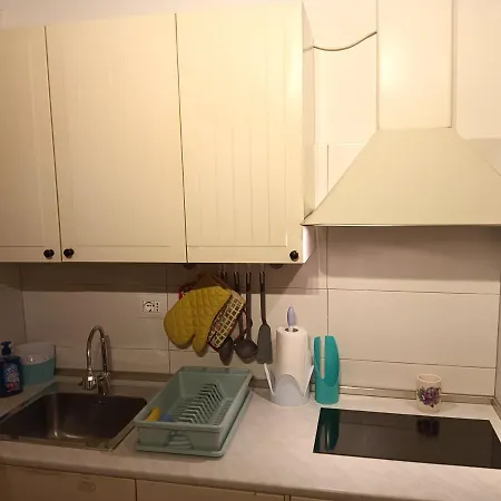 Vintage House Center Apartament *